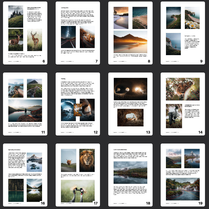 Mastering the Art of Composition - E-Book